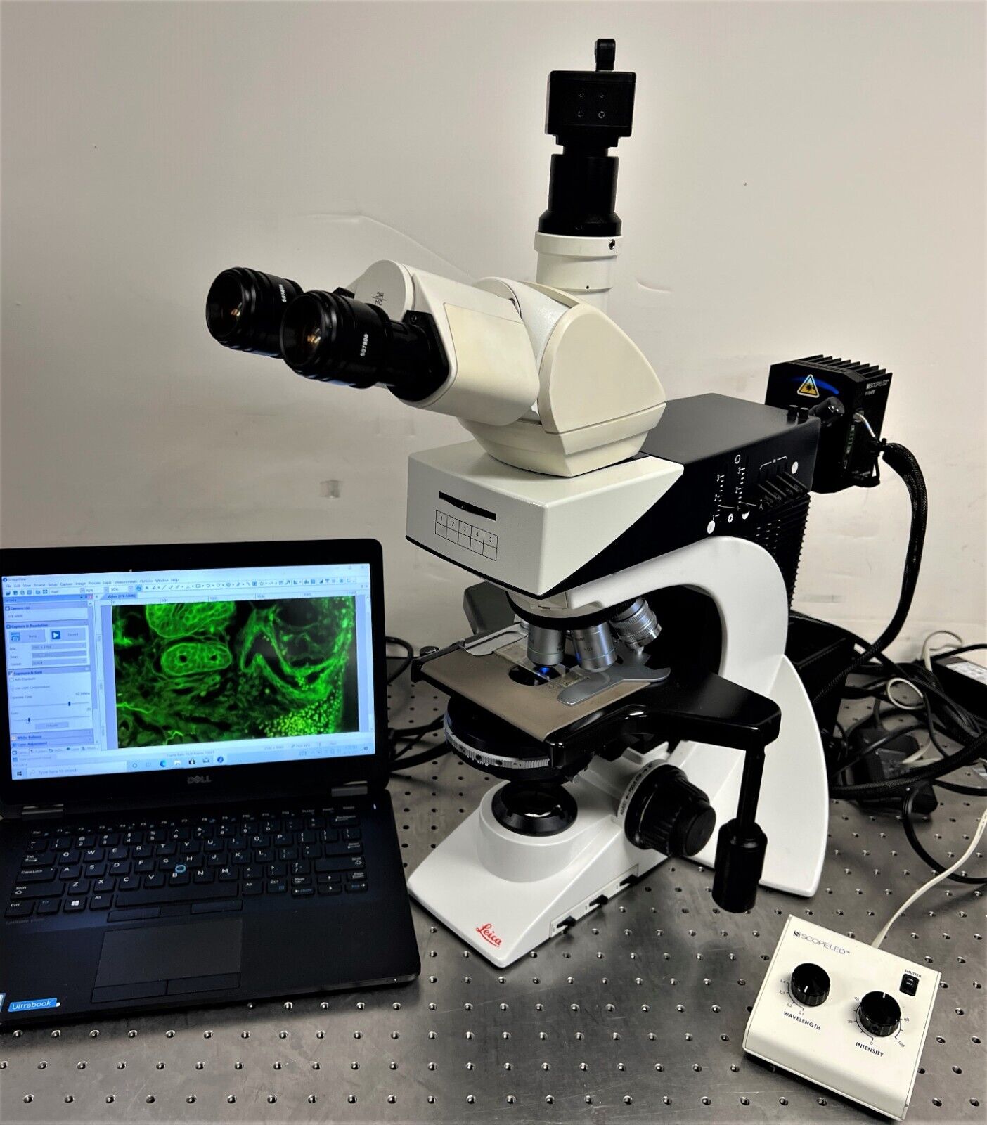 Leica DM2500 Microscope DIC Phase LED Fluorescence+ Camera and Laptop