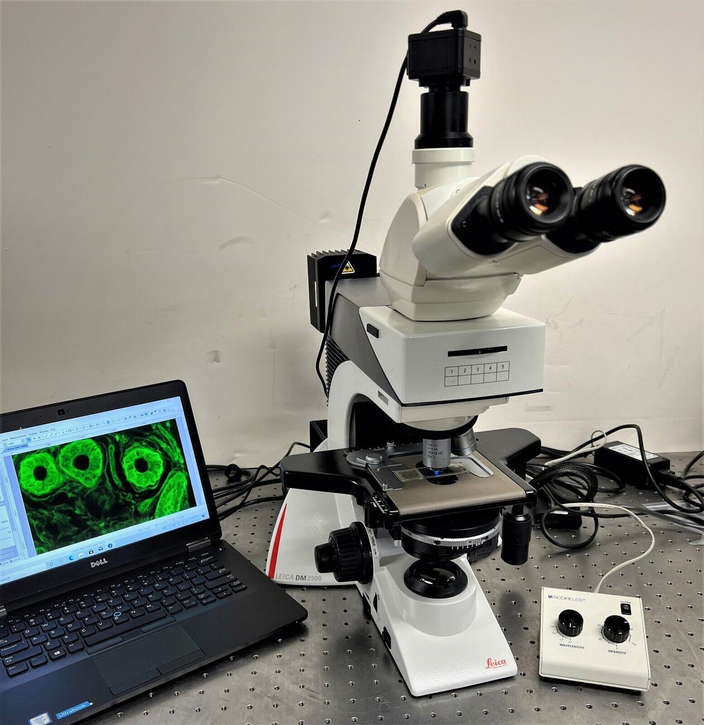 Leica DM2500 Microscope DIC Phase LED Fluorescence+ Camera and Laptop