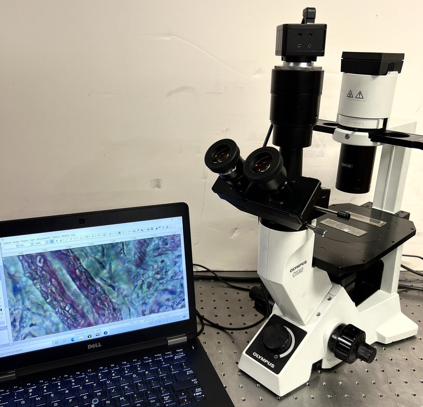 Olympus CK40 Inverted Phase Microscope with Cam + Laptop