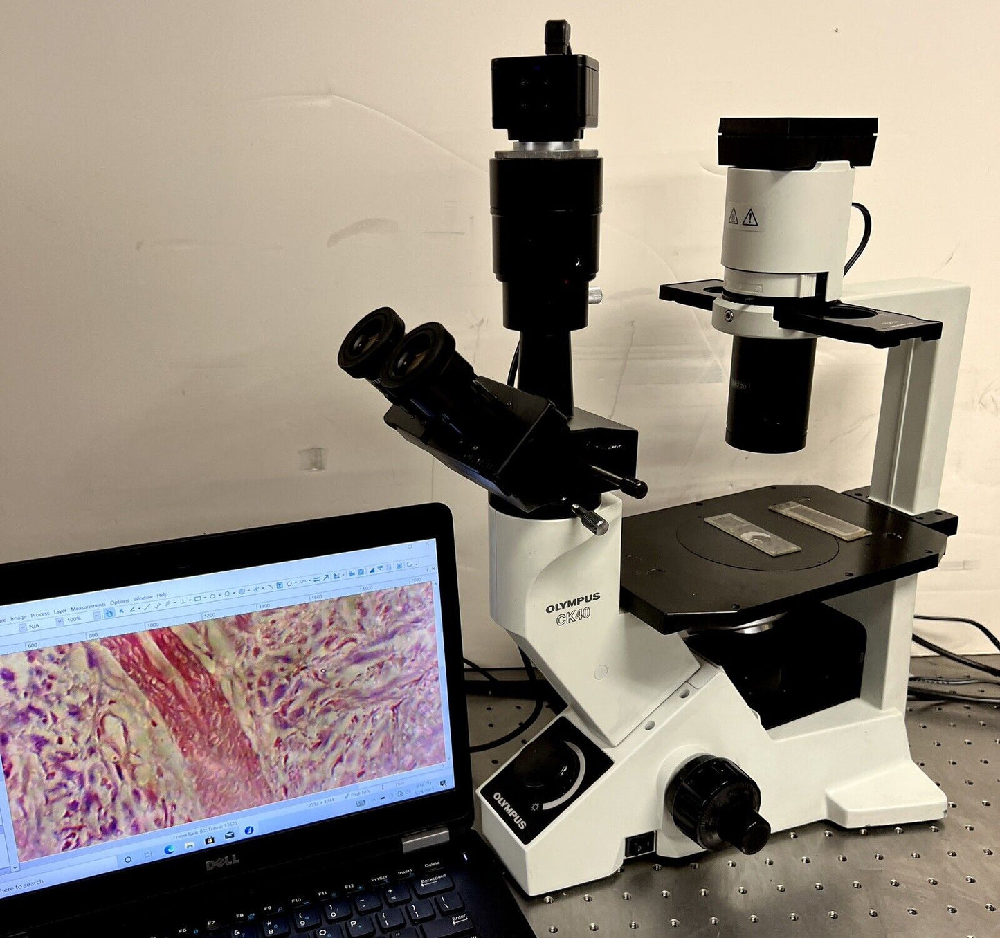 Olympus CK40 Inverted Phase Microscope with Cam + Laptop