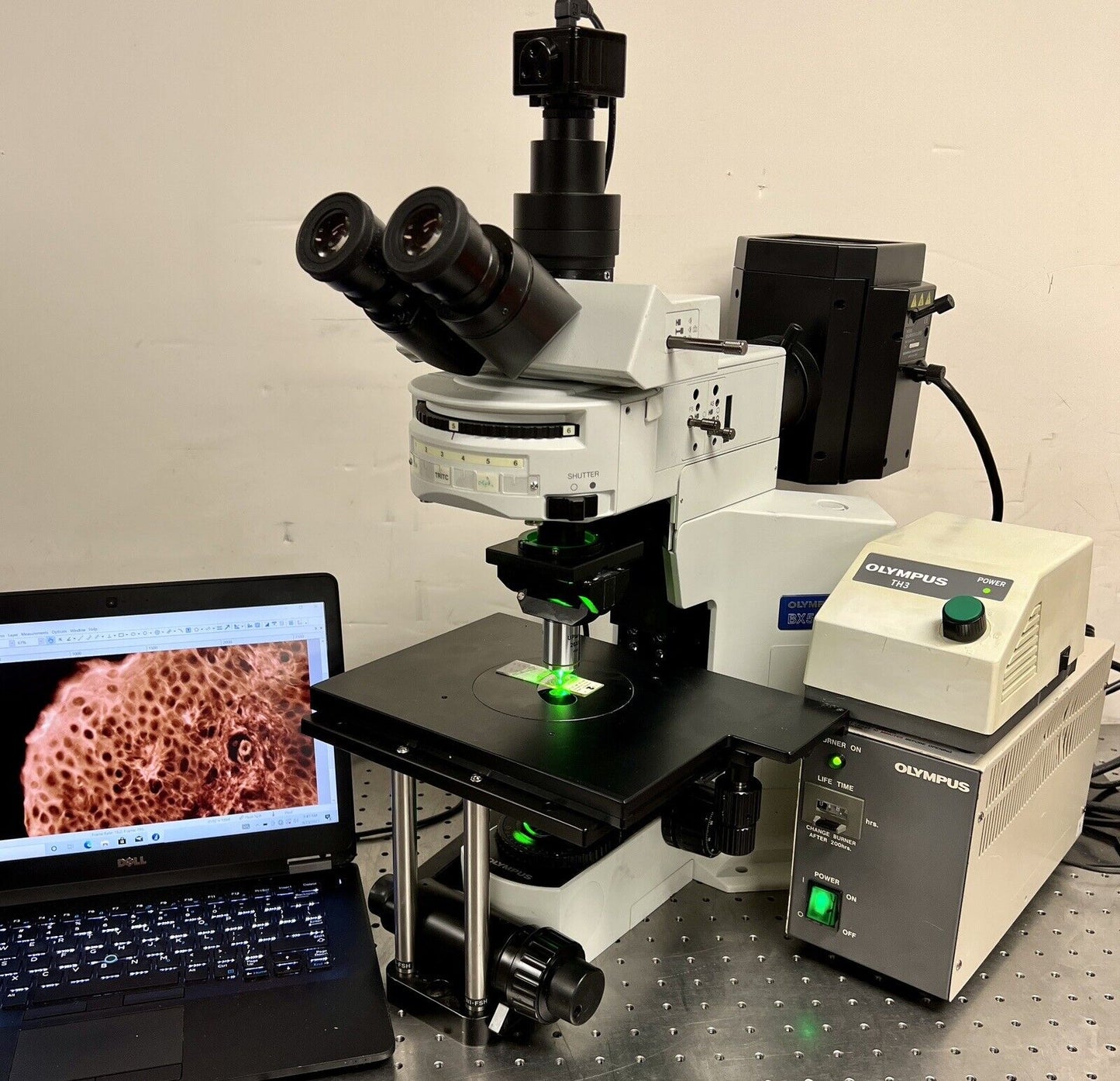 Olympus BX51 WI Water immersion Fluorescence Microscope Cam Laptop