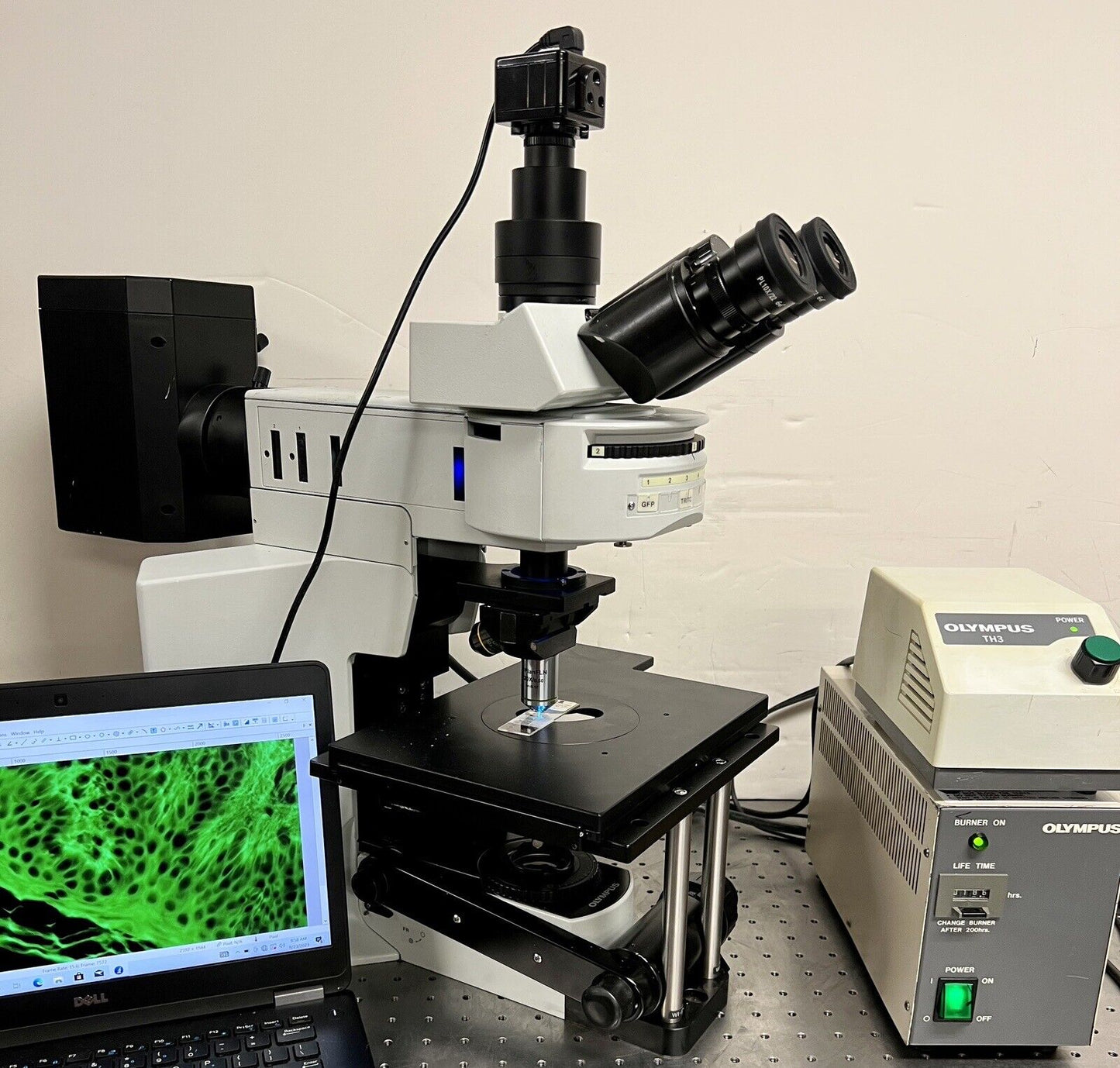 Olympus BX51 WI Water immersion Fluorescence Microscope Cam Laptop